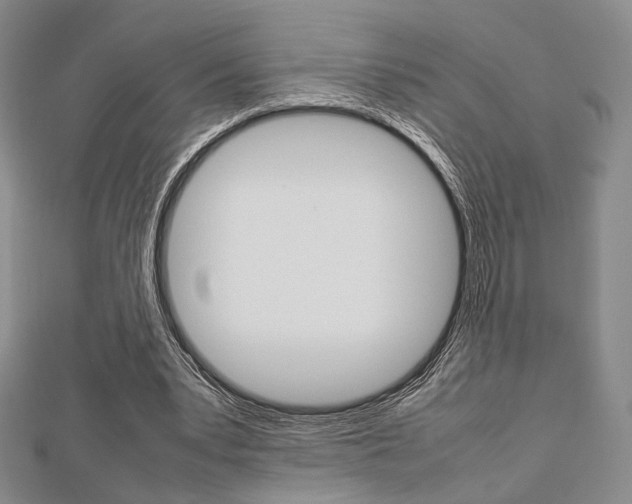 X0000112810391200908210943