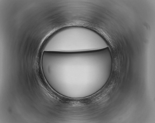 X0000112810392200908210943