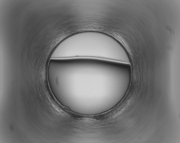 X0000112810393200908210943