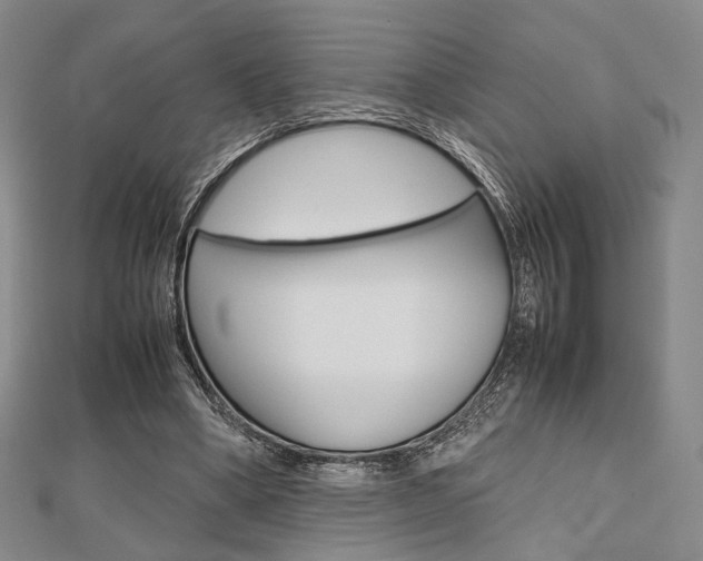 X0000112810394200908210943