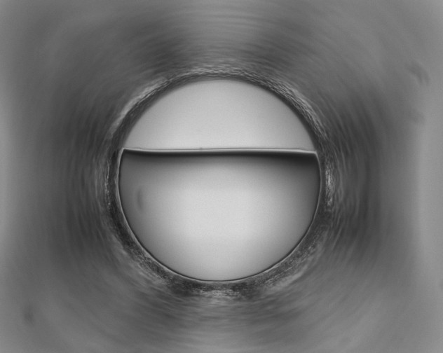 X0000112810396200908210943