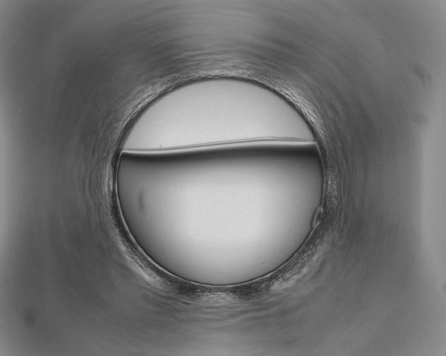 X0000112810397200908210943