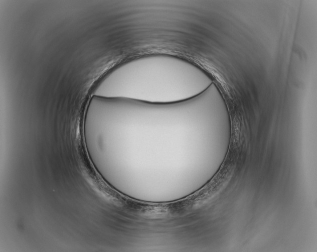 X0000112810398200908210943