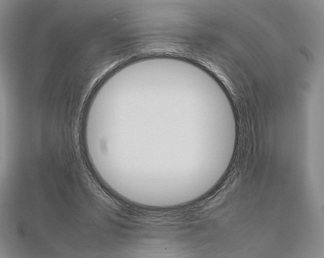 X0000112810399200908210943