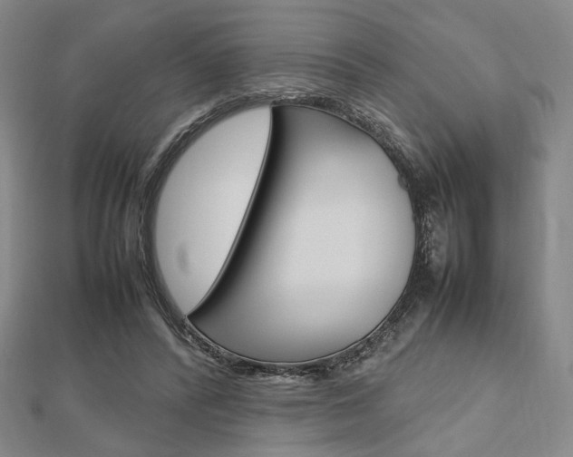 X0000112810400200908210942