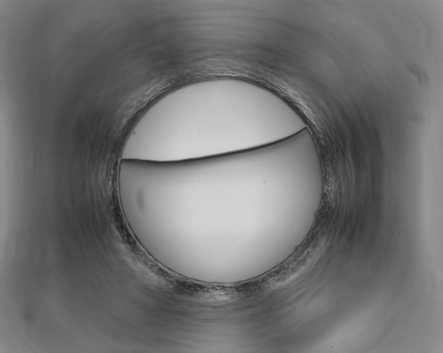 X0000112810402200908210942