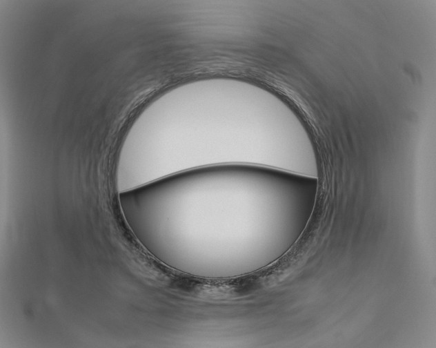 X0000112810403200908210942