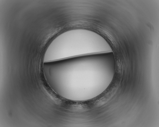 X0000112810404200908210942