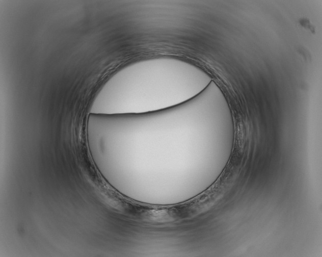 X0000112810406200908210942