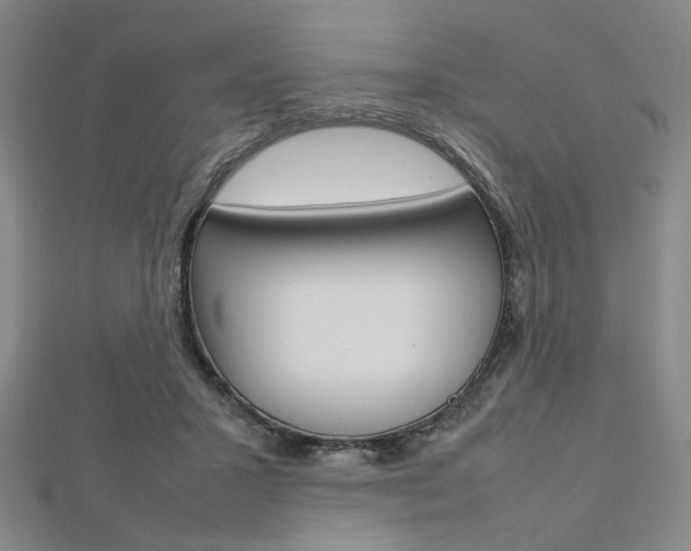 X0000112810407200908210942