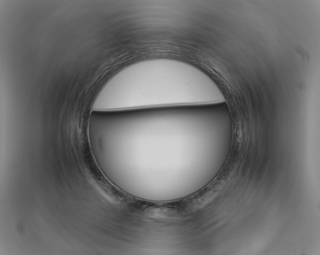 X0000112810408200908210942