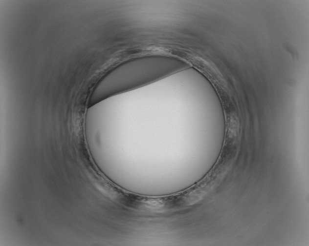 X0000112810409200908210942