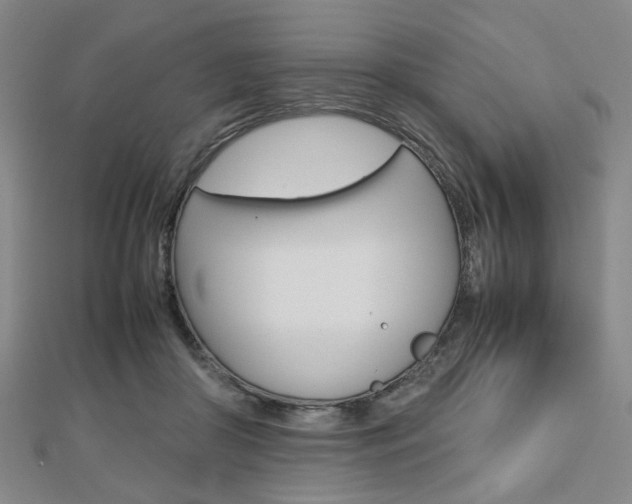 X0000112810410200908210942
