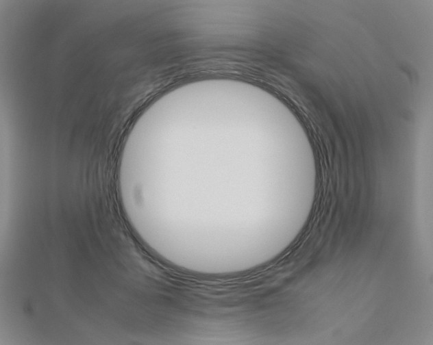 X0000112810411200908210942