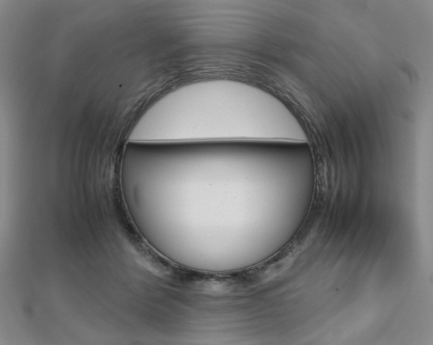 X0000112810412200908210942