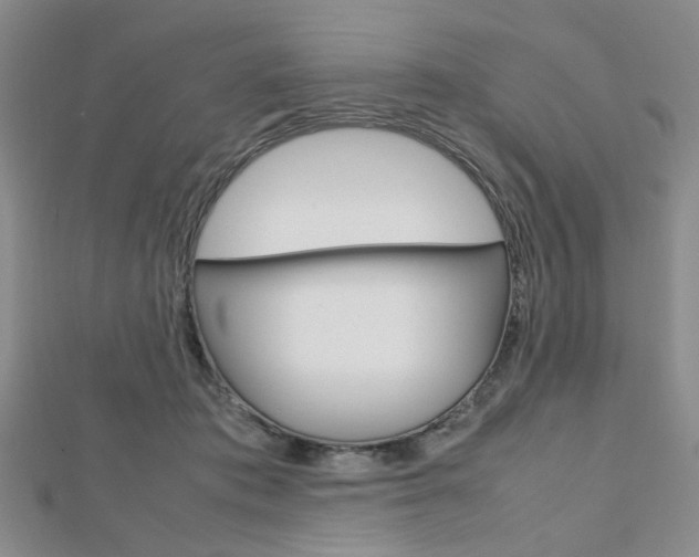 X0000112810413200908210942