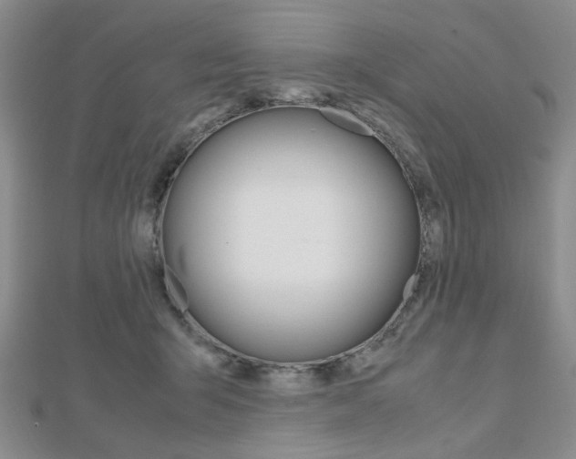 X0000112810415200908210942