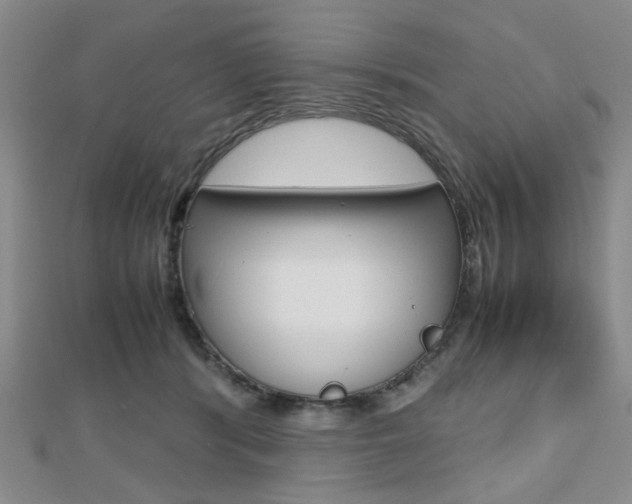 X0000112810416200908210942