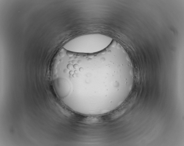 X0000112810418200908210942