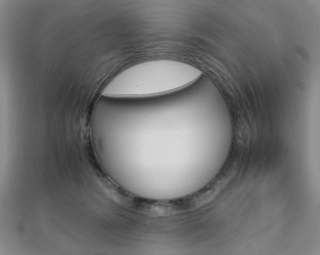 X0000112810420200908210942