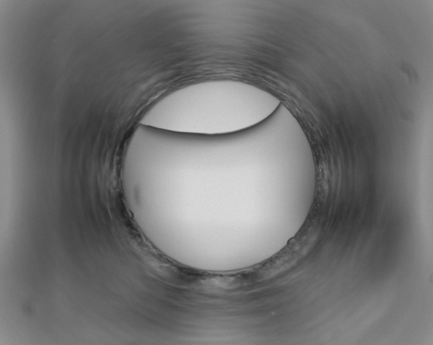 X0000112810422200908210942