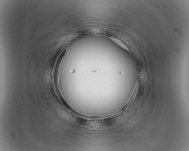X0000112810423200908210942