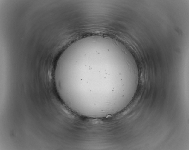 X0000112810424200908210942