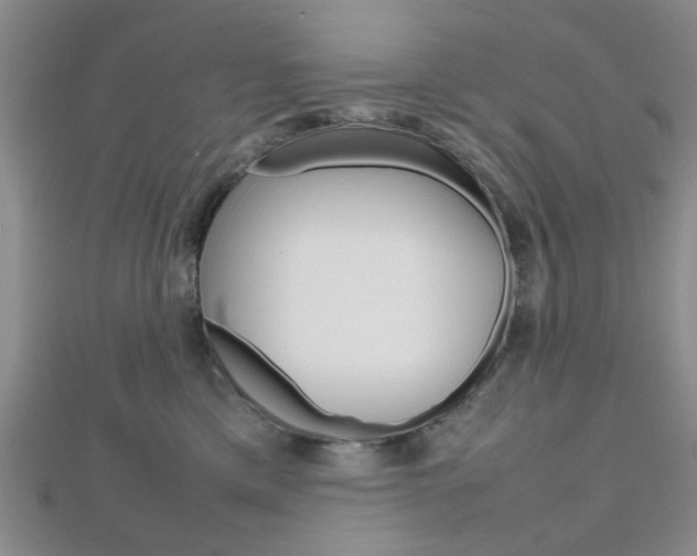 X0000112810425200908210942