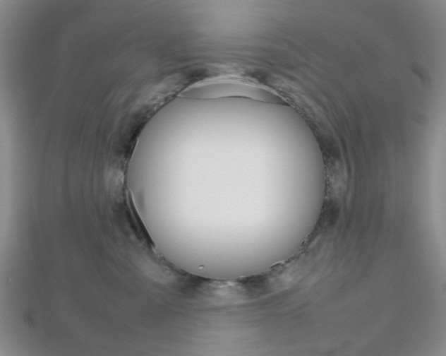 X0000112810427200908210942