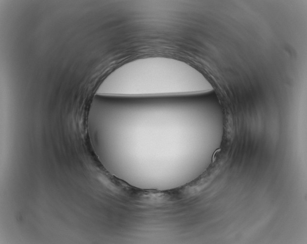 X0000112810428200908210942