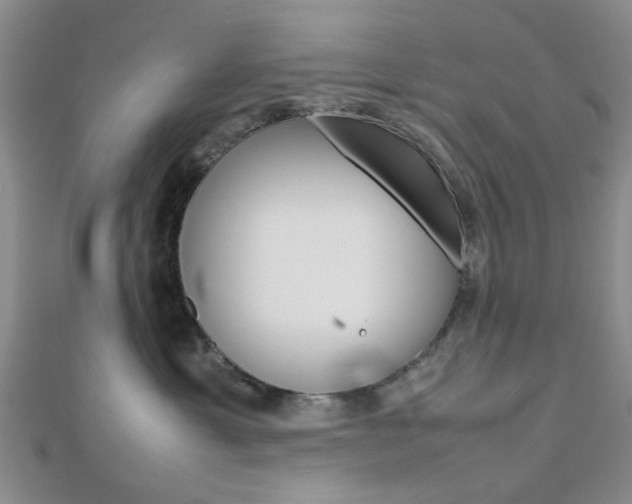 X0000112810429200908210942