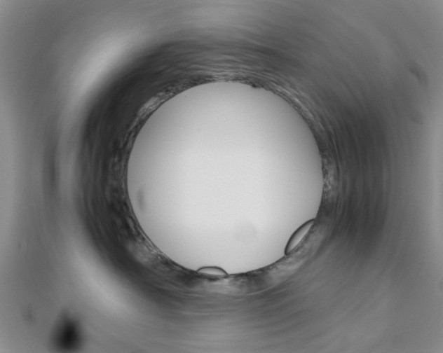 X0000112810430200908210942