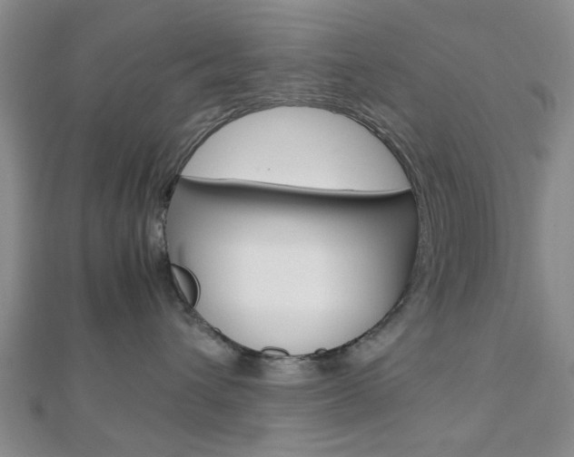 X0000112810432200908210942