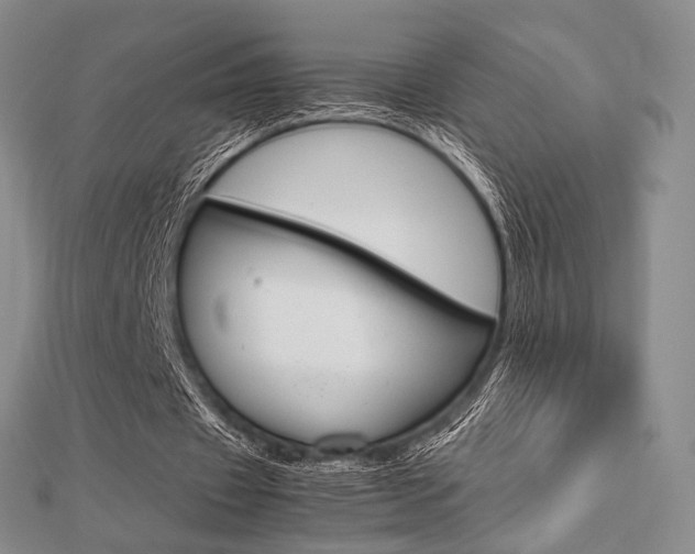 X0000112810433200908210941
