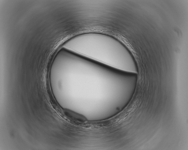 X0000112810434200908210941