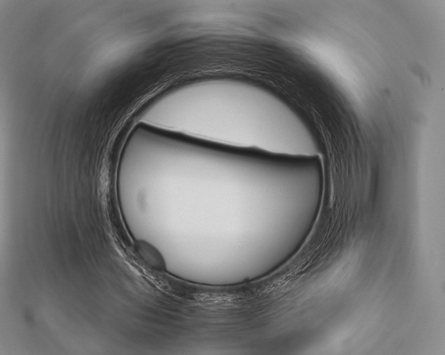 X0000112810435200908210941