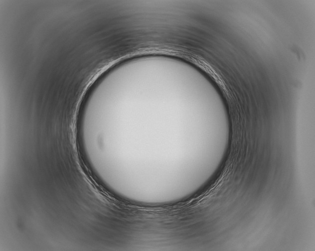 X0000112810436200908210942
