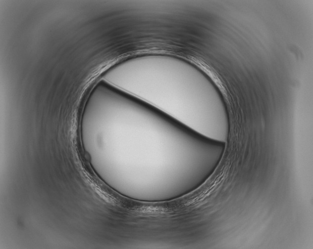 X0000112810437200908210942