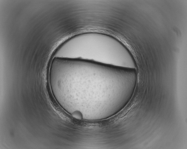 X0000112810438200908210942