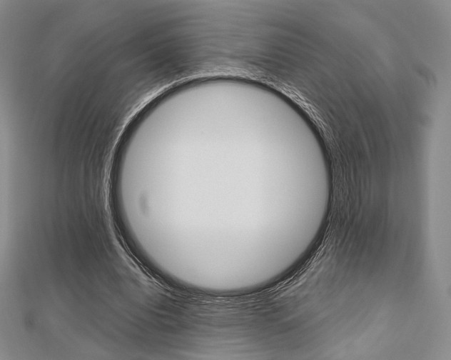 X0000112810440200908210942