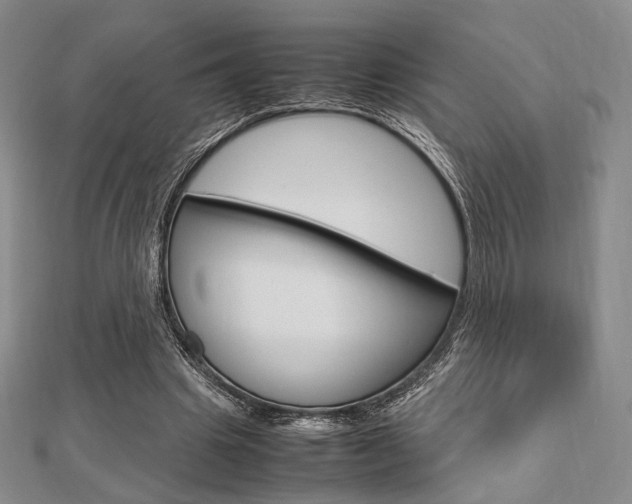 X0000112810441200908210942