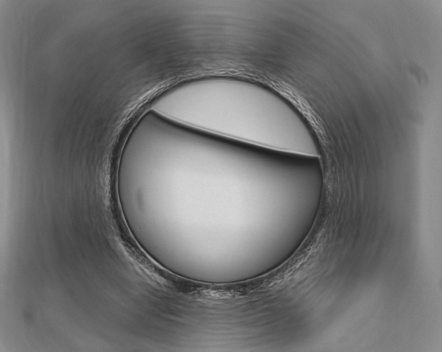 X0000112810442200908210942