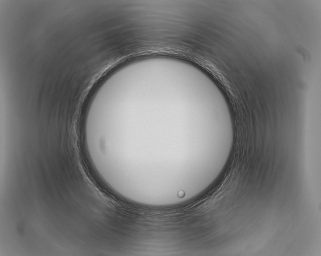 X0000112810444200908210942