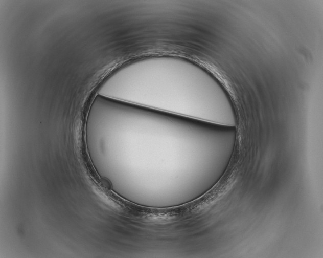 X0000112810445200908210942