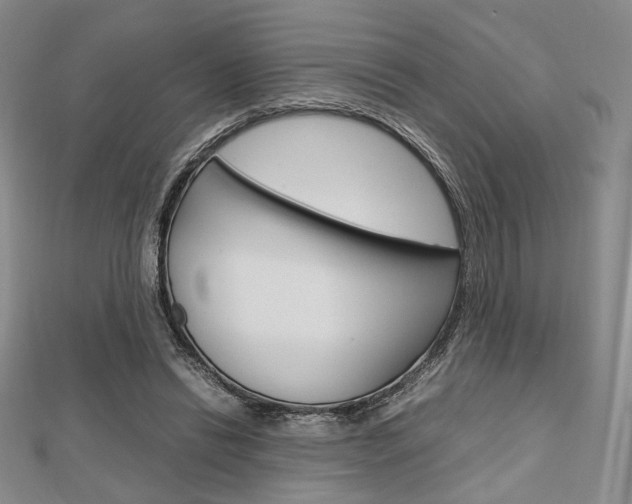 X0000112810446200908210942