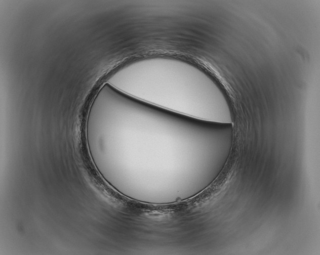 X0000112810447200908210942