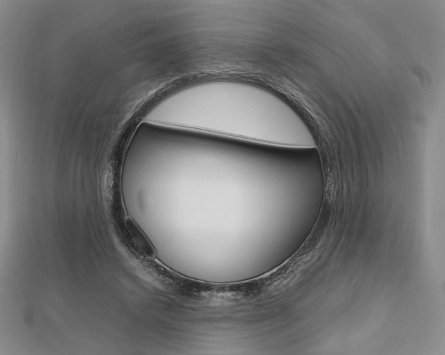 X0000112810448200908210942