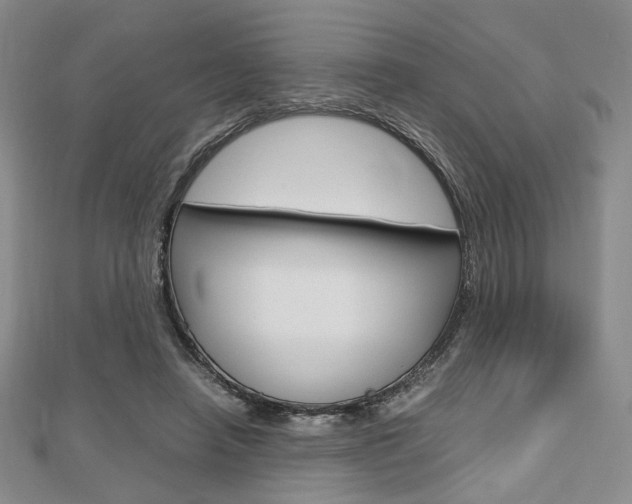 X0000112810450200908210942