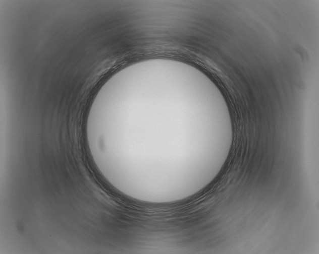 X0000112810452200908210942