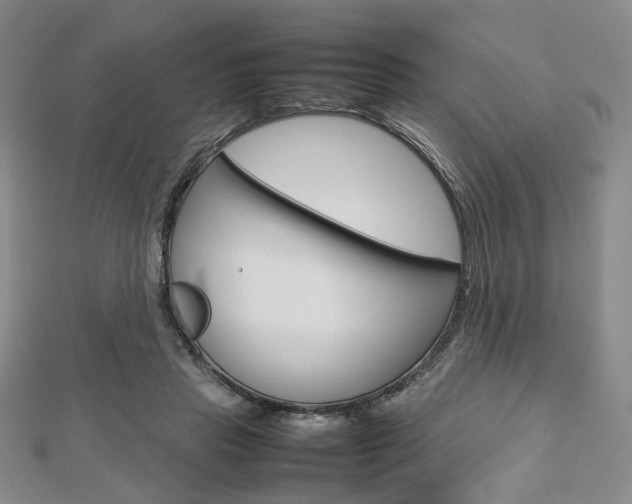 X0000112810453200908210942